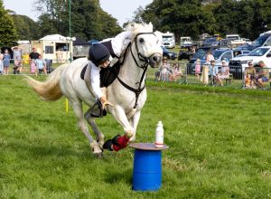 0H0A8510 300x220 - 0H0A8510