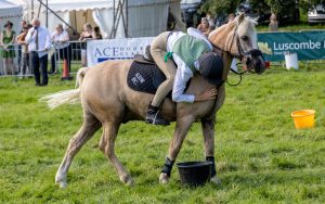 0H0A8529 300x188 - 0H0A8529