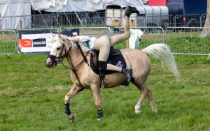 0H0A8532 300x188 - 0H0A8532