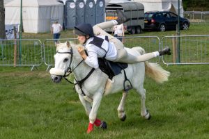 0H0A8537 300x200 - 0H0A8537