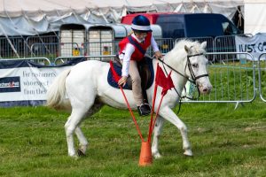 0H0A8580 300x200 - 0H0A8580