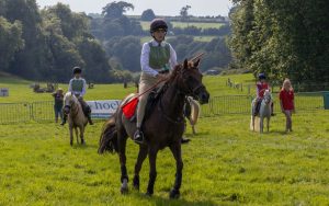 0H0A8582 300x188 - 0H0A8582