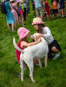 dpi 2 119 229x300 - dpi-2-119