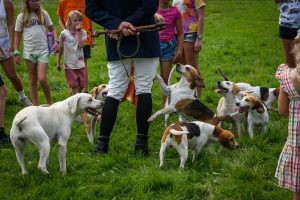 dpi 2 120 300x200 - dpi-2-120