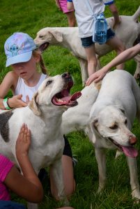 dpi 2 121 201x300 - dpi-2-121