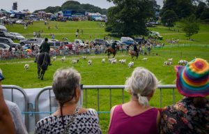 dpi 2 125 300x192 - dpi-2-125