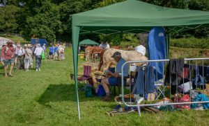 dpi 2 13 300x182 - dpi-2-13