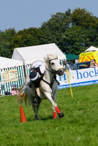 dpi 2 130 202x300 - dpi-2-130