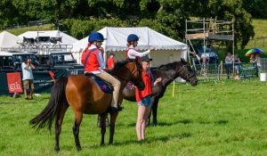 dpi 2 132 300x175 - dpi-2-132