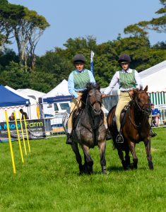 dpi 2 133 235x300 - dpi-2-133