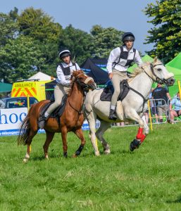 dpi 2 136 257x300 - dpi-2-136