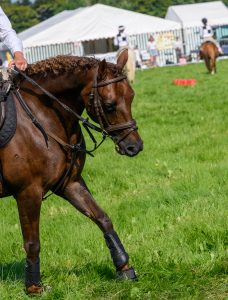 dpi 2 138 228x300 - dpi-2-138