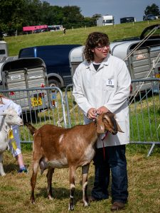 dpi 2 14 225x300 - dpi-2-14