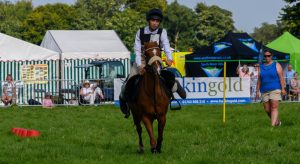 dpi 2 140 300x164 - dpi-2-140