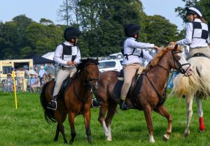 dpi 2 144 300x209 - dpi-2-144