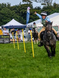 dpi 2 147 227x300 - dpi-2-147