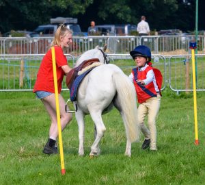 dpi 2 148 300x270 - dpi-2-148