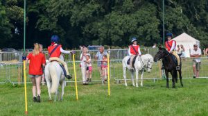 dpi 2 149 300x167 - dpi-2-149