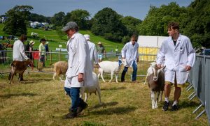 dpi 2 15 300x181 - dpi-2-15