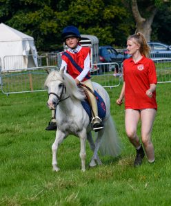 dpi 2 151 248x300 - dpi-2-151