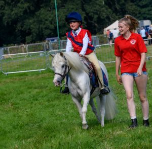 dpi 2 154 300x296 - dpi-2-154