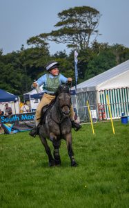 dpi 2 156 187x300 - dpi-2-156