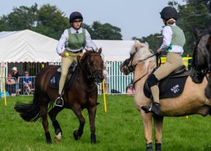 dpi 2 157 300x215 - dpi-2-157