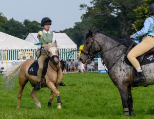 dpi 2 158 300x233 - dpi-2-158