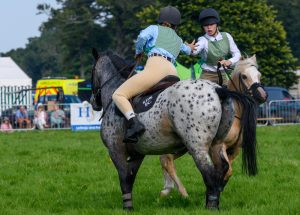 dpi 2 159 1 300x215 - dpi-2-159