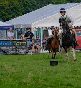 dpi 2 161 275x300 - dpi-2-161