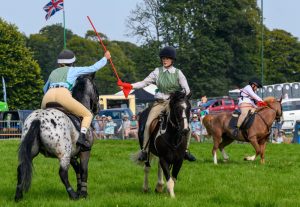 dpi 2 163 300x207 - dpi-2-163