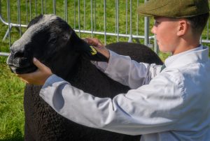 dpi 2 180 300x202 - dpi-2-180