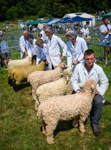 dpi 2 193 222x300 - dpi-2-193