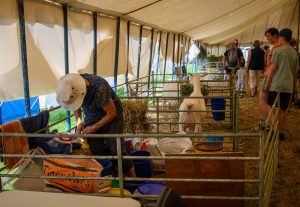 dpi 2 21 300x207 - dpi-2-21