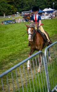 dpi 2 31 185x300 - dpi-2-31