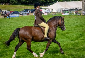 dpi 2 34 300x204 - dpi-2-34