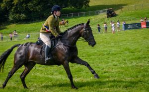 dpi 2 36 1 300x186 - dpi-2-36