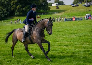 dpi 2 37 300x214 - dpi-2-37