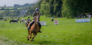 dpi 2 38 300x147 - dpi-2-38