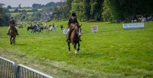 dpi 2 39 300x154 - dpi-2-39