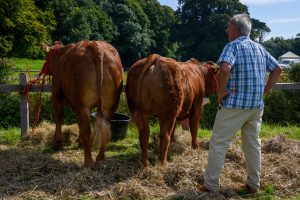 dpi 2 4 300x200 - dpi-2-4