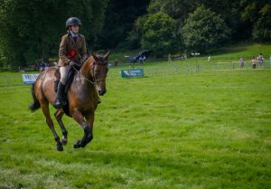 dpi 2 40 300x209 - dpi-2-40