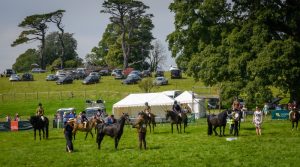 dpi 2 41 300x167 - dpi-2-41