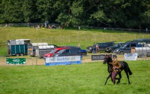 dpi 2 42 300x188 - dpi-2-42