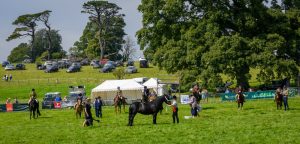 dpi 2 45 1 300x144 - dpi-2-45