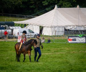 dpi 2 47 300x249 - dpi-2-47