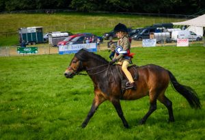 dpi 2 53 300x205 - dpi-2-53