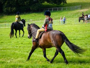 dpi 2 54 300x226 - dpi-2-54