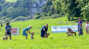 dpi 2 56 300x165 - dpi-2-56