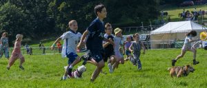 dpi 2 64 300x128 - dpi-2-64